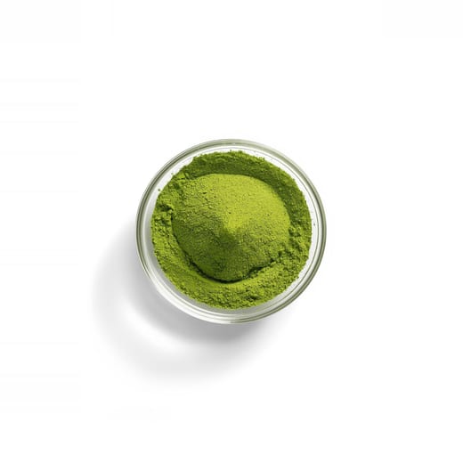 Aloe Vera Gel Cubes supplier in UAE — Gulf Multi Trading